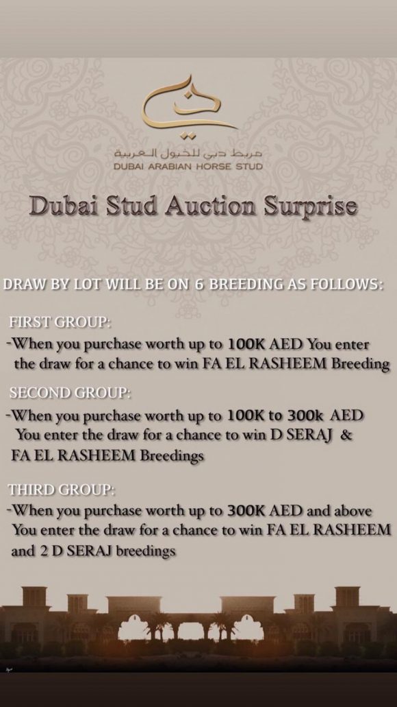 beb24ad2-1253-4e41-8a3a-ae227c3d90bb