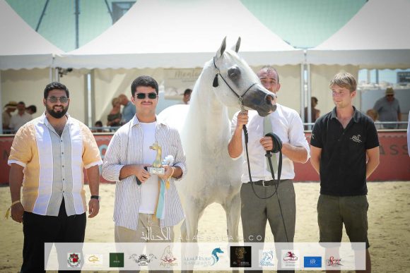 اكسكاليبور إي ايه (شنغهاي إي ايه x ايسنس اوف مروان إي ايه) مربط أكمل – السعودية