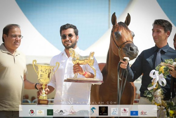 دي ثريا (اف ايه الرشيم x دي ازلية) مربط الوجبة – قطر