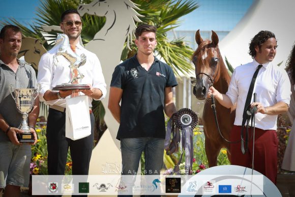 بيرفيكتا الجاسمية (بيكاسو دي آي مار x جزانة الجاسمية ) مرزعة الجاسمية – قطر