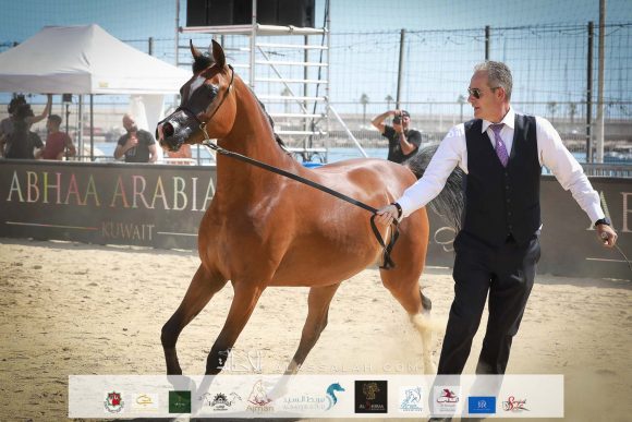 آر دي اس اكسويسيت (اكسكاليبور إي ايه x انجليكا كيه اس ) الأوراسية – البحرين