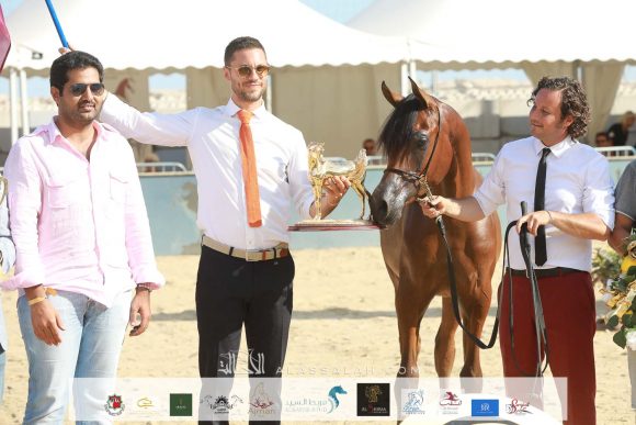 ليهون (اف ايه الرشيم x اراغيا فانيلا) مزرعة الجاسمية- قطر