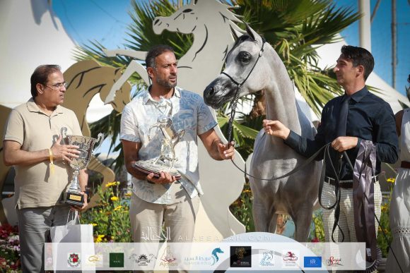 دي شرار (دي سراج x اف تي شيلا) مربط دبي – الإمارات