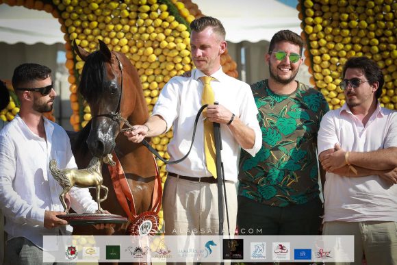 دبليو اف جوين (ماجيك ماغنفيك x دبليو دبليو جوينا) مربط انغيرو سيماس
