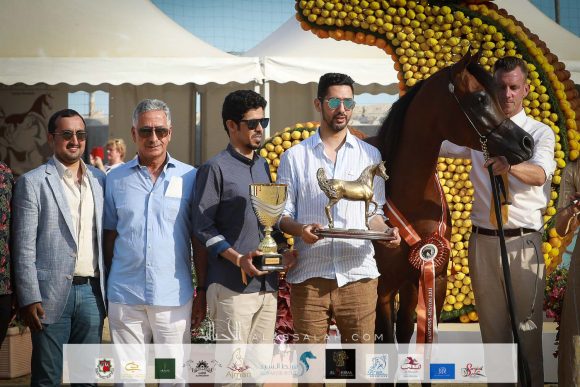 متباهي الهواجر (اف ايه الرشيم x زد تي مارغومي) مربط سما نجد – السعودية