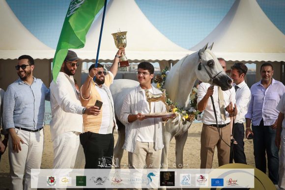 اكسكاليبور إي ايه (شنغهاي إي ايه x ايسنس اوف مروان إي ايه) مربط أكمل – السعودية