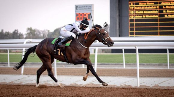 873196b3-9a65-420a-9ad3-77fc229cb0b0