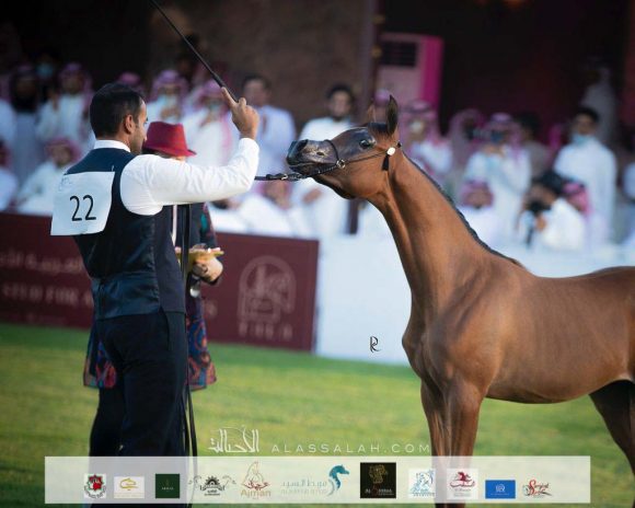 f0970f73-beb2-49cb-8fdc-40ba9e5b40f1