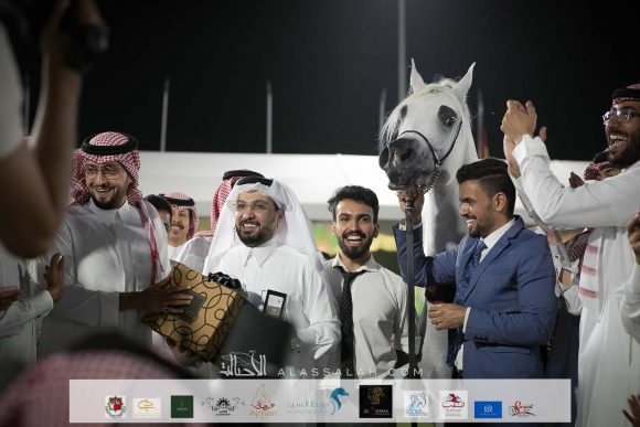 تيجان المعود (الكساندر x ايه دي جست ديفيني) مربط الباخت