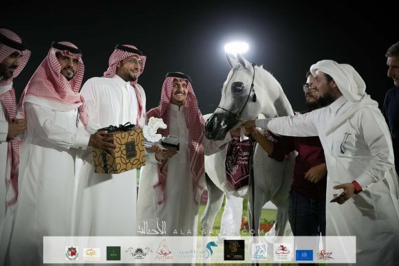 عريب الثانية (دبليو اتش جستس x ساريا الثالثة) مربط عبدالعزيز فارس السويلم