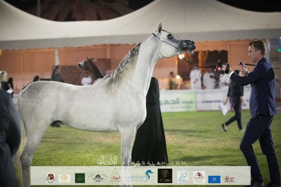 بارز آر اتش (اكسكاليبور إي ايه x صيته الثانية) مربط الريح