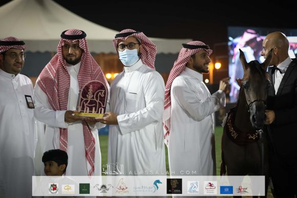 ليالى السيد (فاليدورو x لجين السيد) مربط السيد