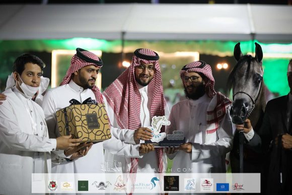 آر كيو موضي (الكساندر x اس كحيلة) مربط الراجحية