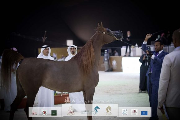 AU8I0046-Sponsers + Alassalah 2020-2