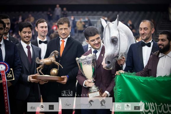  إي اس حرير (ع ج دينار x تي اف ماغنومس ماجيك) مربط أكمل- السعودية