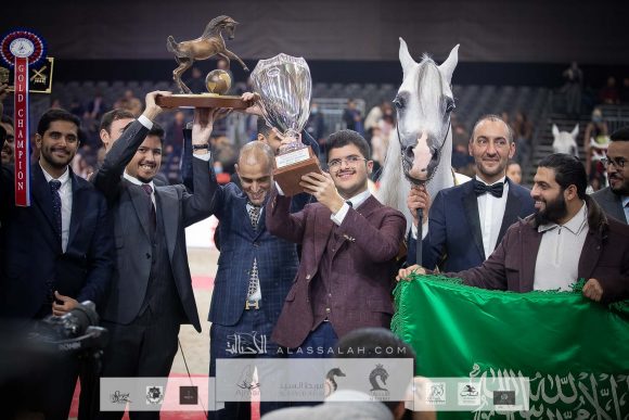  إي اس حرير (ع ج دينار x تي اف ماغنومس ماجيك) مربط أكمل- السعودية