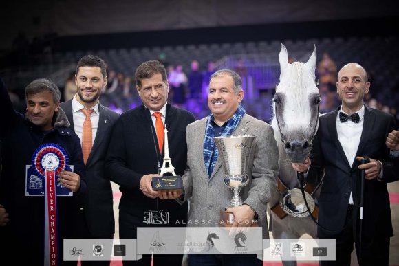 شاكار بغيسوس ( شايز المادان x جميل بيغسوس) مربط الخشاب- الكويت