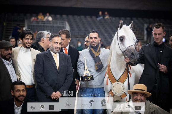 حربي العدوان (عصفور الوعب x وضحة العدوان) مربط عدوان بشير – الكويت