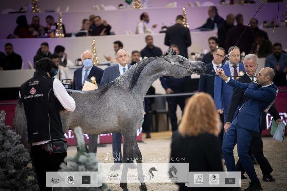 AU8I4341-Sponsers + Alassalah 2020-2