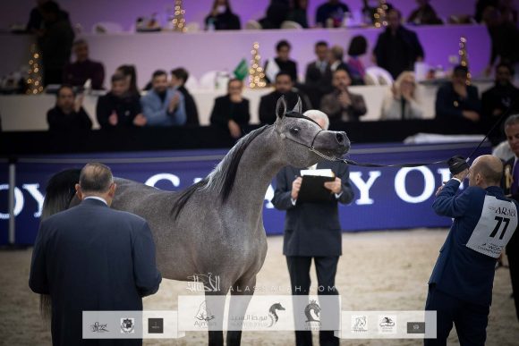 AU8I4359-Sponsers + Alassalah 2020-2