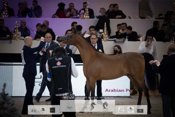 AU8I4415-Sponsers + Alassalah 2020-2