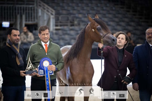 AU8I4468-Sponsers + Alassalah 2020-2