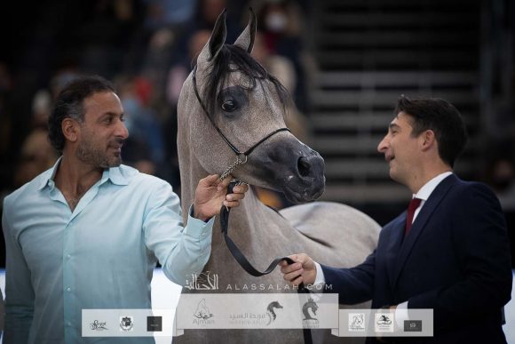 AU8I4491-Sponsers + Alassalah 2020-2