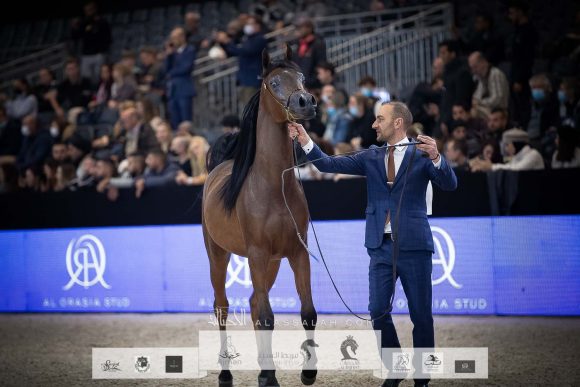 AU8I4540-Sponsers + Alassalah 2020-2