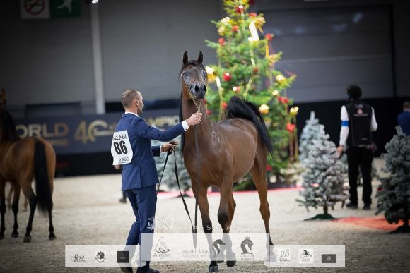 AU8I4550-Sponsers + Alassalah 2020-2