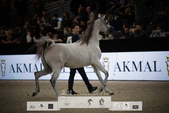 AU8I4567-Sponsers + Alassalah 2020-2