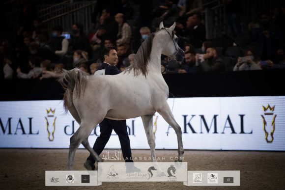 AU8I4568-Sponsers + Alassalah 2020-2