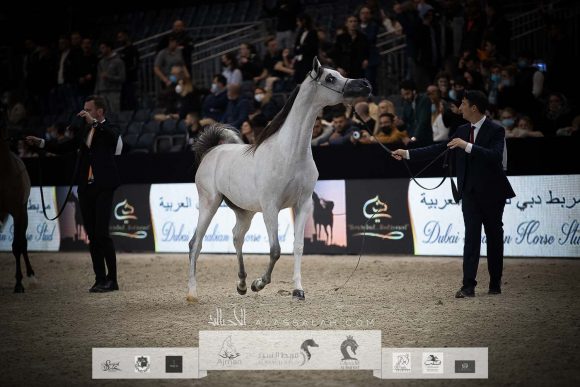 AU8I4581-Sponsers + Alassalah 2020-2