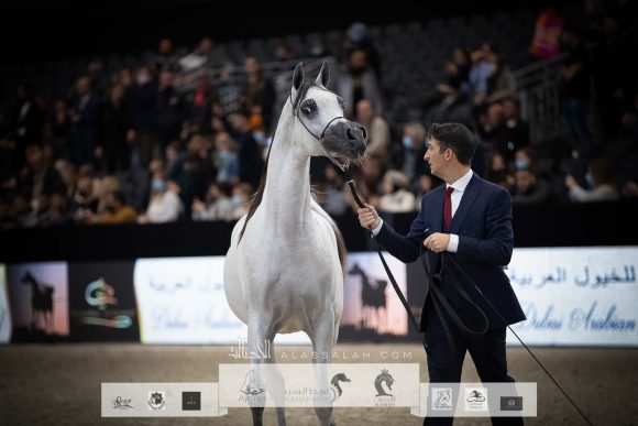 AU8I4601-Sponsers + Alassalah 2020-2