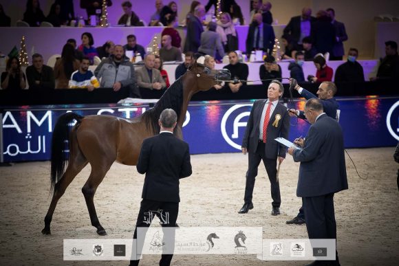 AU8I4647-Sponsers + Alassalah 2020-2