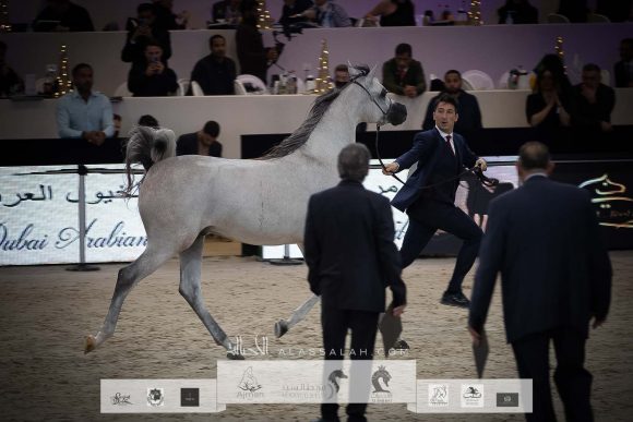 AU8I4669-Sponsers + Alassalah 2020-2