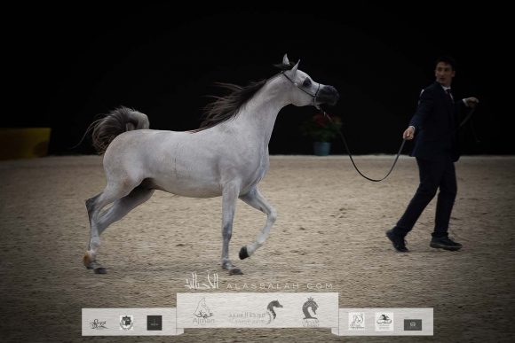 AU8I4682-Sponsers + Alassalah 2020-2