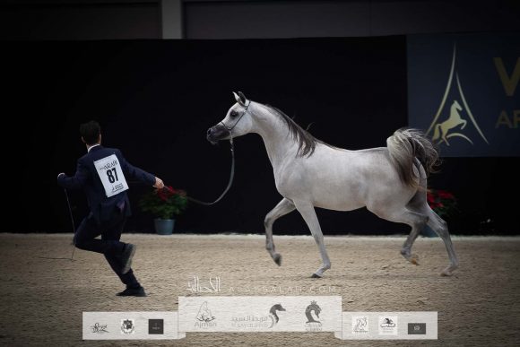 AU8I4690-Sponsers + Alassalah 2020-2