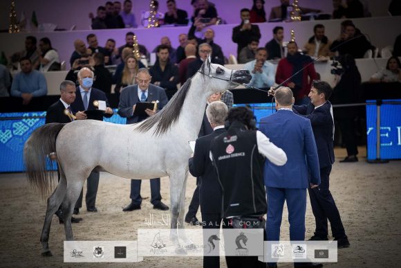 AU8I4723-Sponsers + Alassalah 2020-2