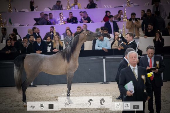 AU8I4834-Sponsers + Alassalah 2020-2