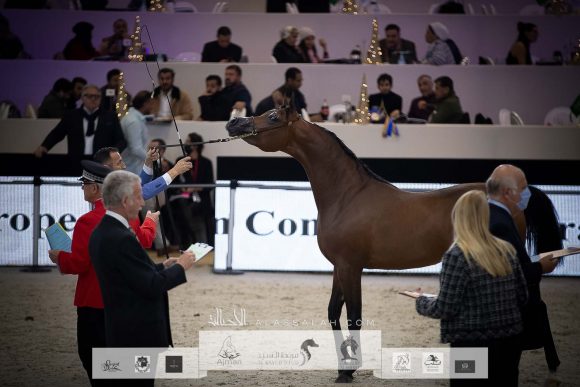 AU8I4850-Sponsers + Alassalah 2020-2