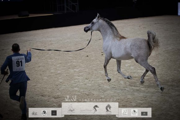 AU8I4871-Sponsers + Alassalah 2020-2