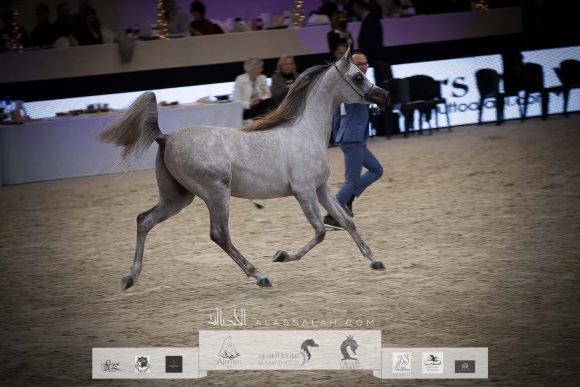 AU8I4888-Sponsers + Alassalah 2020-2