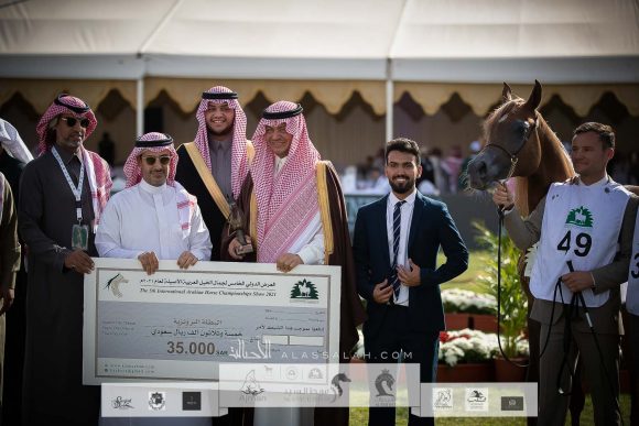 سلوى المملكة (فيقاس اتش أي اس x سويت فينيراتا) مربط المملكة – السعودية.