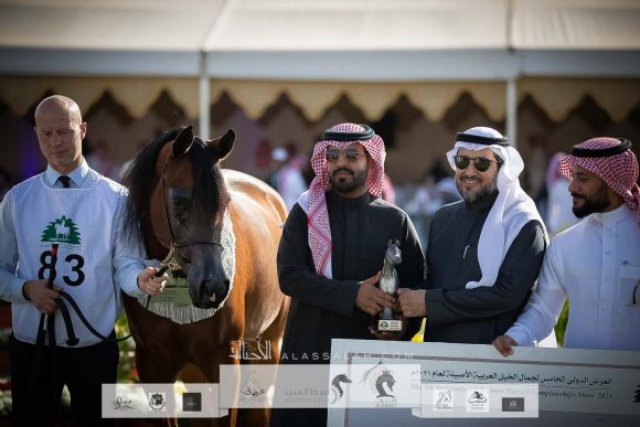 جنوفيا دبليو ان (اكسالت x جنيفا يس اس) مربط الوطن – السعودية