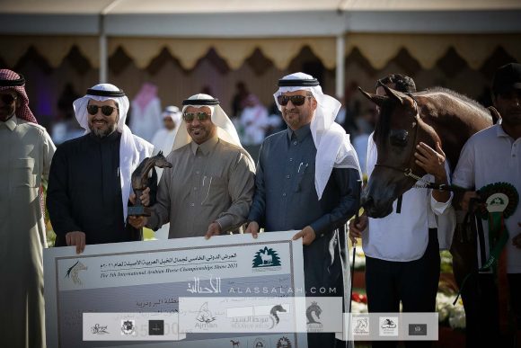 : هلالة الخالدية (يعسوب المعود x هالة الخالدية الثالثة) مزرعة الخالد – السعودية.