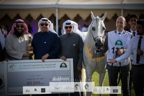 بنت هاذي الخالدية (البلاشيوفو x هاذي الخالدية ) مربط الخشاب – الكويت