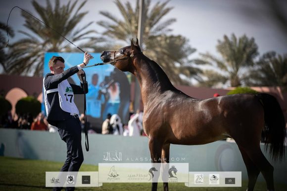 خالد السلام (اميرالد جي x رانيا جي كي ) مربط السلام – السعودية