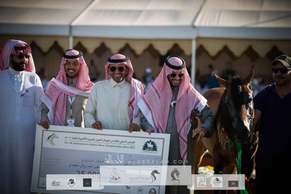 بندر الوصيل (سلمان الوصيل x مضاوي الجنادرية ) مربط الوصيل – السعودية