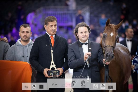 بيرفكتا الجاسمية (بيكاسو دي مار x جازانة الجاسمية) مزرعة الجاسمية – قطر.