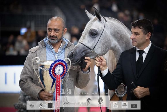 ع ج كية ( ع ج كفو x ايه جيه ايه كابريس) مربط عجمان – الإمارات.